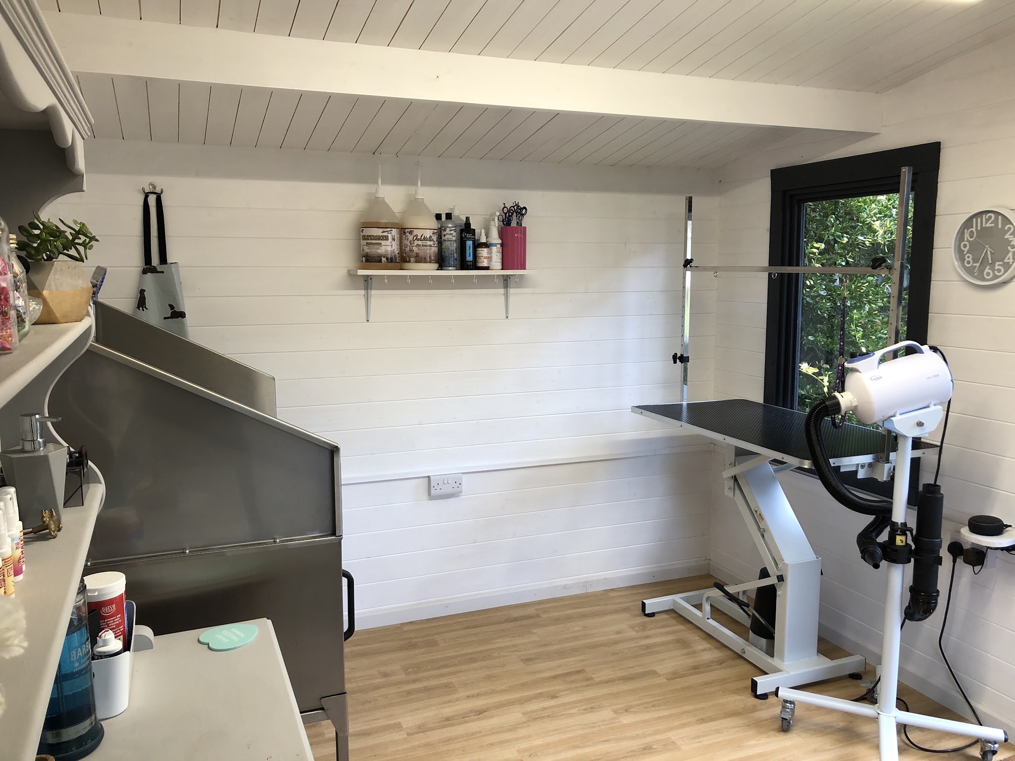 The grooming table by the window, with a professional dryer and the dog bath